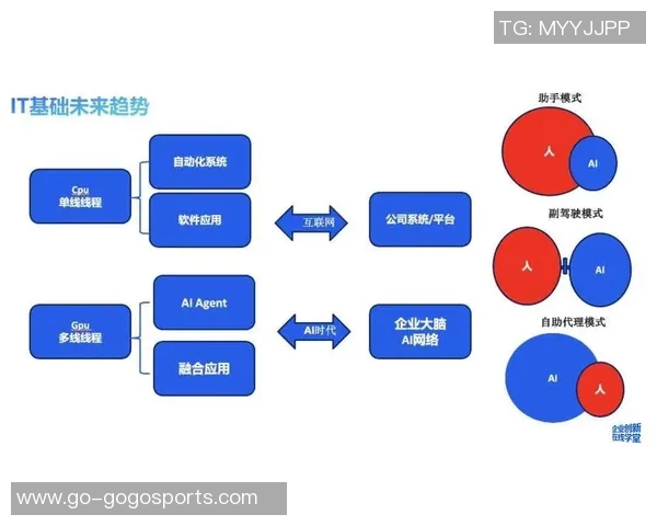 31VS贝塔的精彩对决揭示了科技与传统的碰撞与融合之路